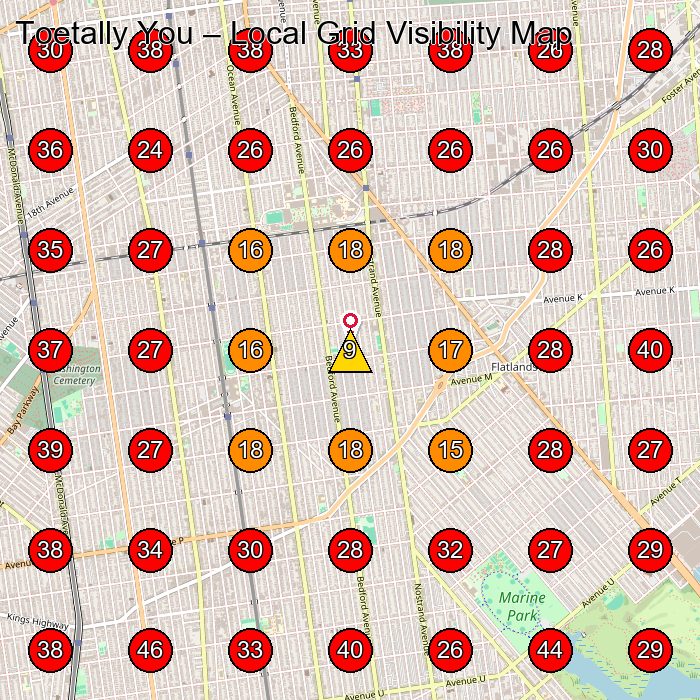 Toetally You GeoGrid visibility map for Clothing Store in Brooklyn